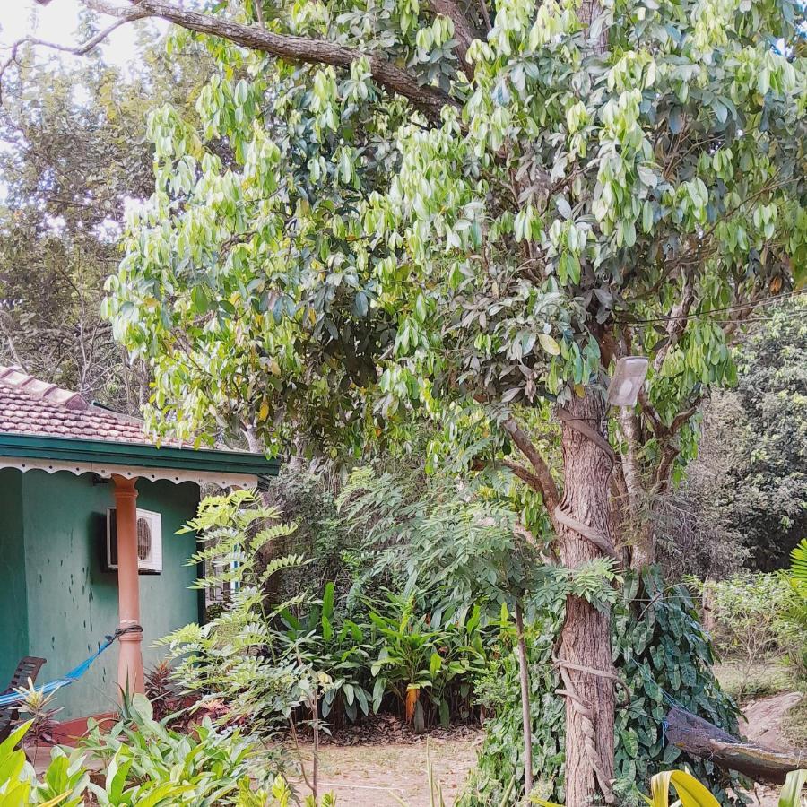 Sigiriya Melrose Villas Exterior photo